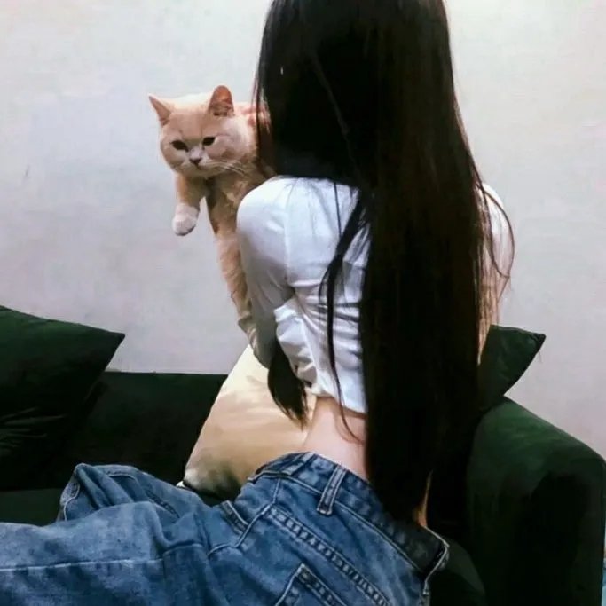 至爱梵高:不可能之梦
